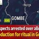 Six Arrested in Gombe Over Alleged Child Abduction Case: Police Launch Expanded Investigation