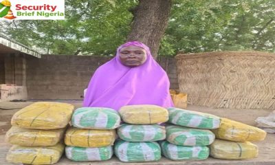 Troops Record Major Breakthrough as Operation HADIN KAI Disrupts Illicit Drug Supply Network in North East Nigeria