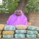 Troops Record Major Breakthrough as Operation HADIN KAI Disrupts Illicit Drug Supply Network in North East Nigeria