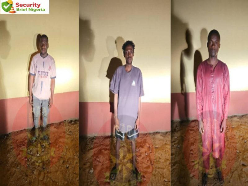 Nigerian Military Dismantles Suspected Suicide Bombing Network in Adamawa