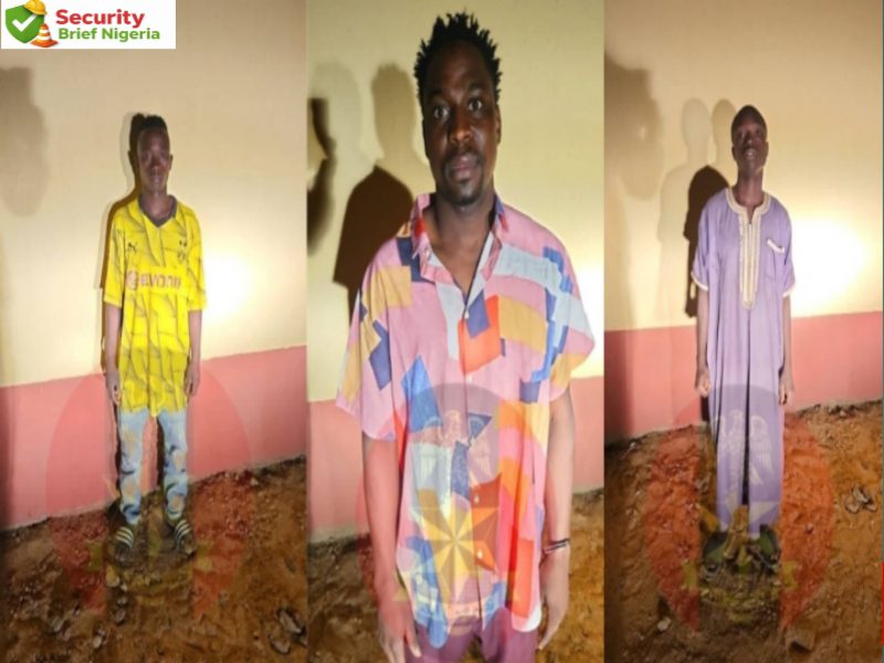 Nigerian Military Dismantles Suspected Suicide Bombing Network in Adamawa