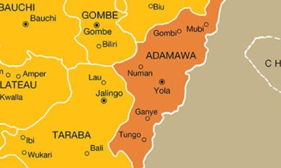 Two Brothers in Adamawa Allegedly Kill Father After Domestic Dispute