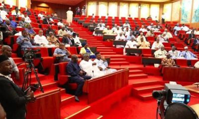 Senate Orders Probe Into NYSC Member’s Death at Enugu Camp, Healthcare Nationwide