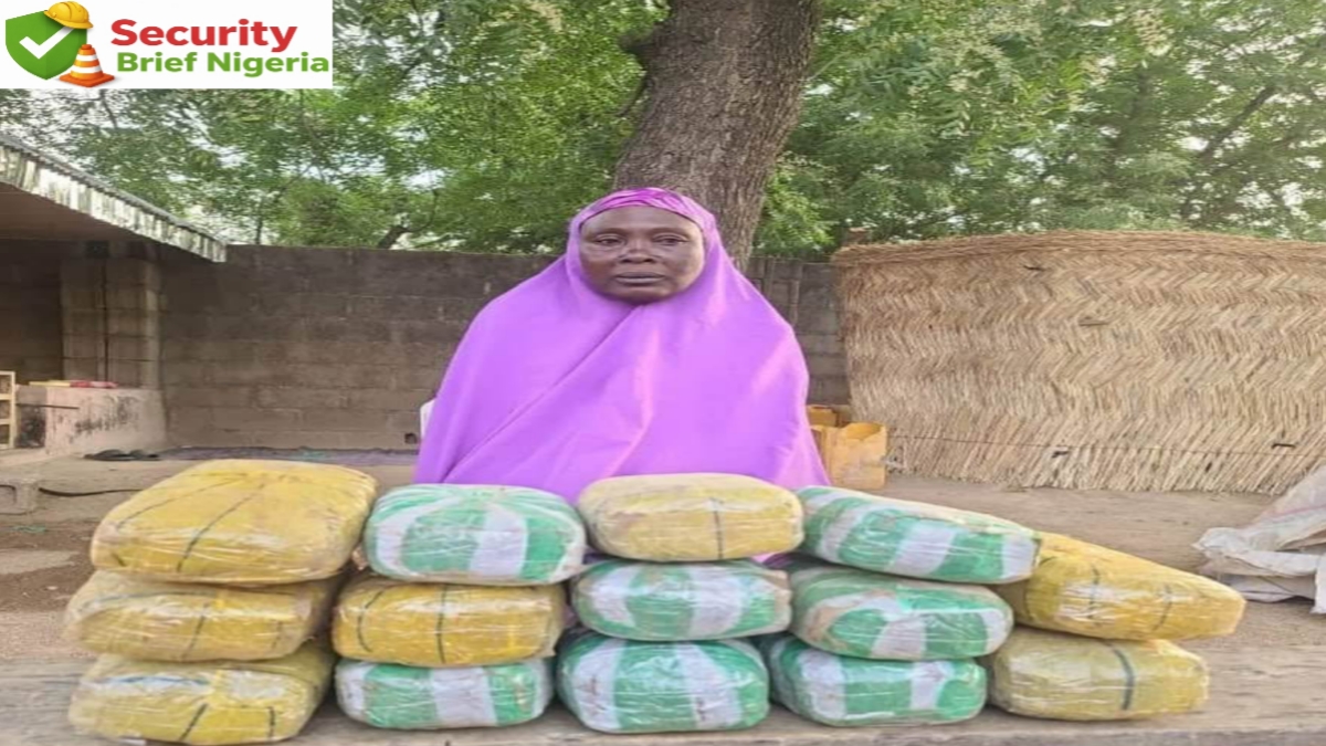 Troops Record Major Breakthrough as Operation HADIN KAI Disrupts Illicit Drug Supply Network in North East Nigeria