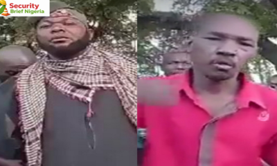 Bachama Leaders Accuse Military, Political Elites of Backing Armed Militia in Adamawa Land Dispute