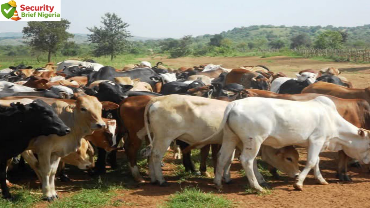 Suspected Livestock Thief Injured as Vigilant Villagers Foil Night Raid in Yobe Community
