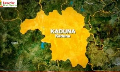 Kaduna Village Head Confirms Sightings of Bandits Marching 177 Abducted Worshippers Through Maro Forest Axis