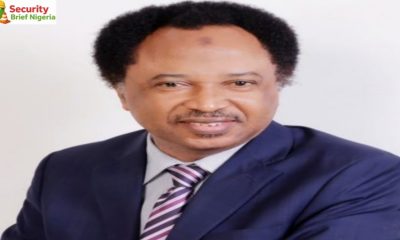 Shehu Sani: Bandits and Terrorists Are Not Foreigners, Northern Leaders Must Own the Solution
